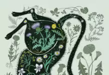 Cat Women A Cat in the Wildflowers by Kelly Louise Judd