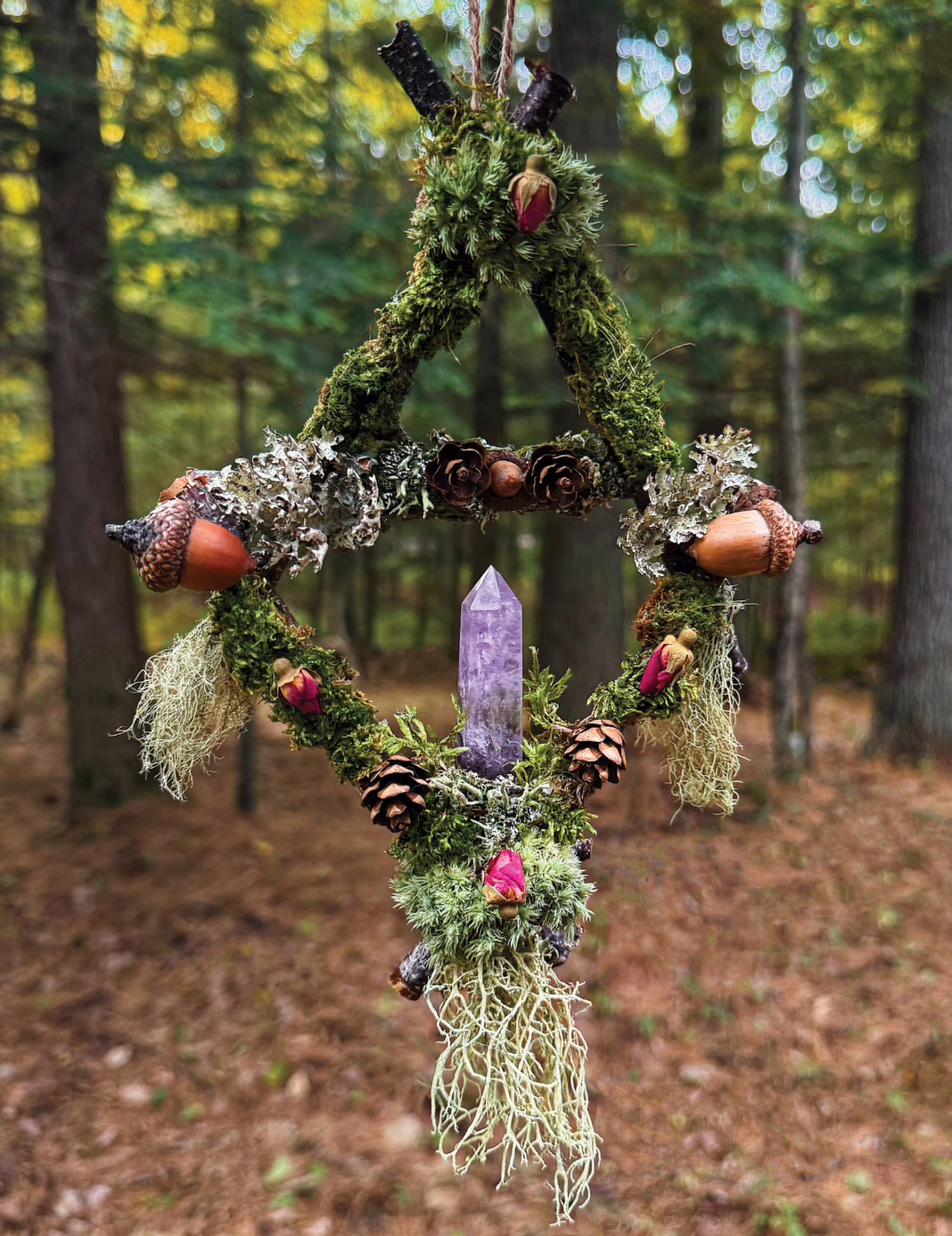 hisper in the wood