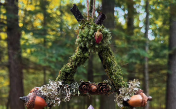 Woodland Ornaments