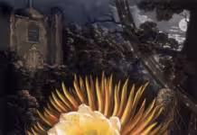 Night Magic: Interview with Author Leigh Ann Henion
