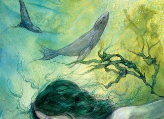 The Seal Wife © Julia Jeffrey