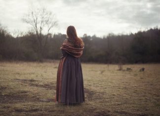 A Silent Wood