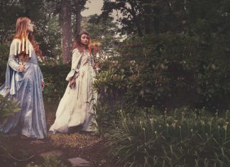Faeries of the Forest