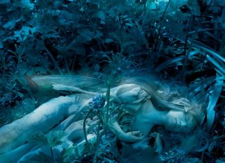 Dreaming Faerie Brian and Wendy Froud