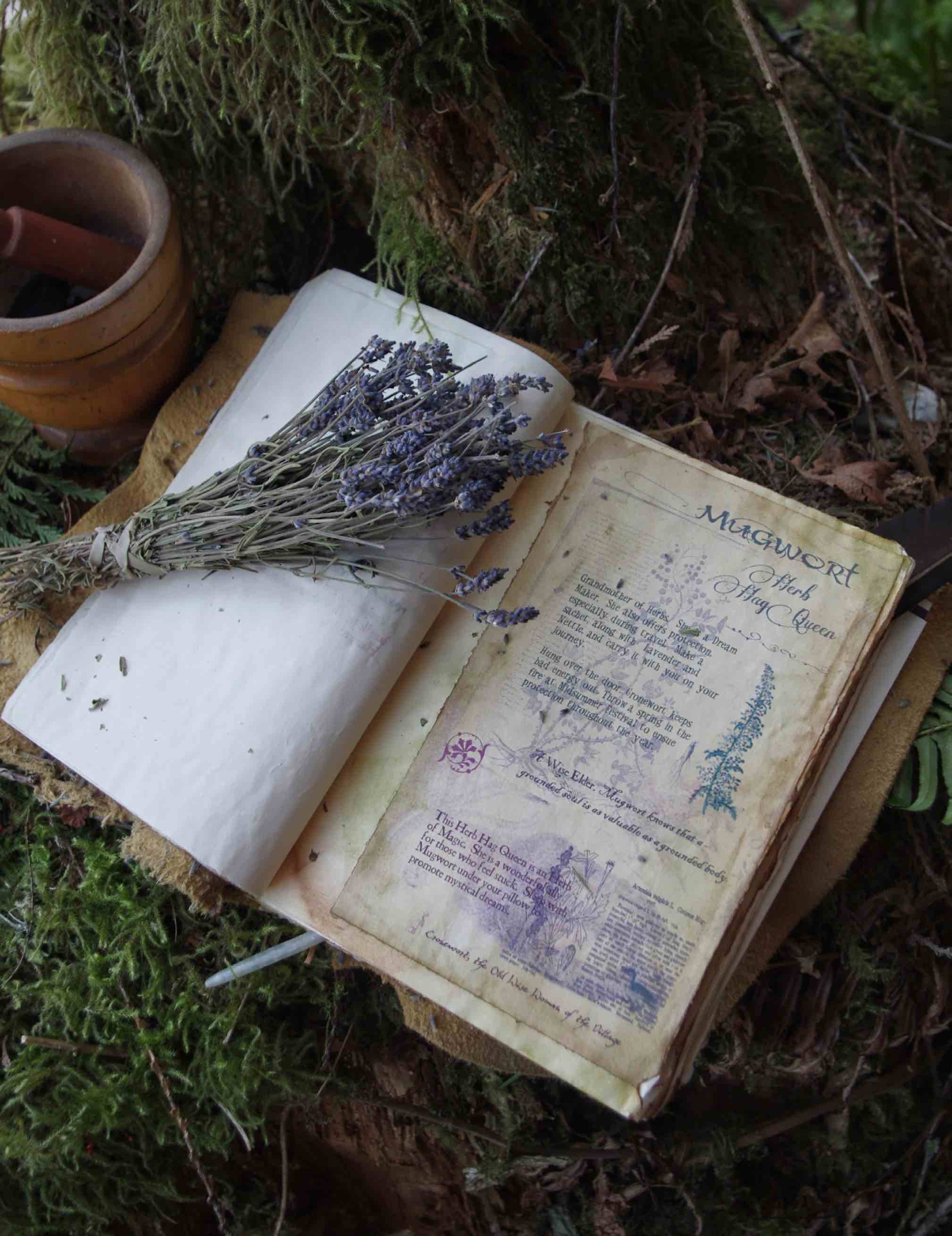 Enchanted Living Magazine Journal Lavender