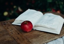 Photo by Liana Mikah on Unsplash, Witch, Enchanted Living Magazine