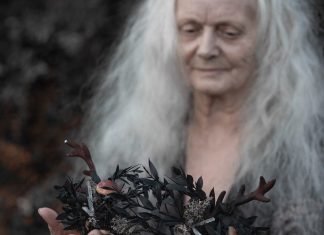 The Root Queen’s Winter