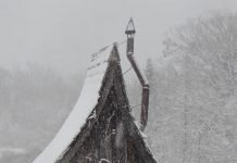 PHOTOGRAPHY BY DAN PAULY