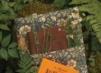 Ideas for Organizing Your Books
